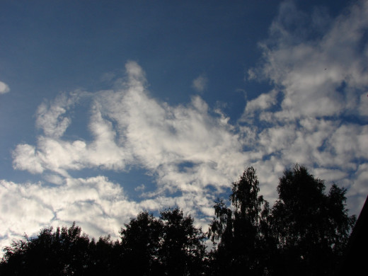 26957 (a): :1024x768